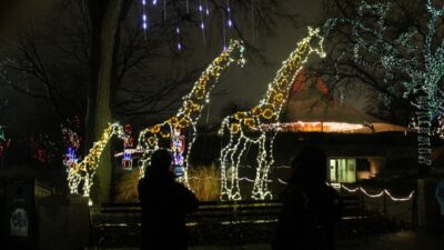 LINCOLN PARK ZOO